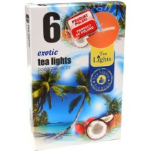 Sviečka čajová EXOTIC